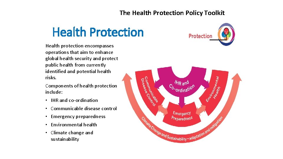 Sustainable Wellbeing advancing the one health and planetary