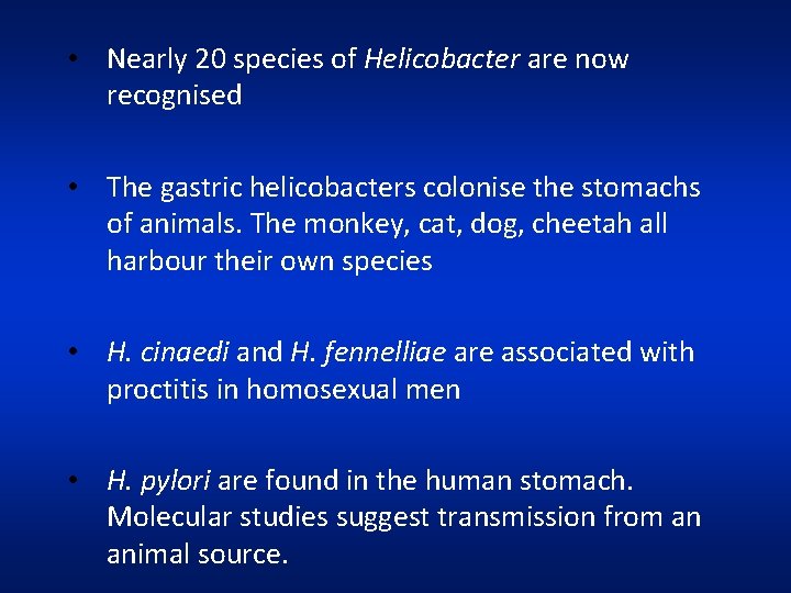  • Nearly 20 species of Helicobacter are now recognised • The gastric helicobacters