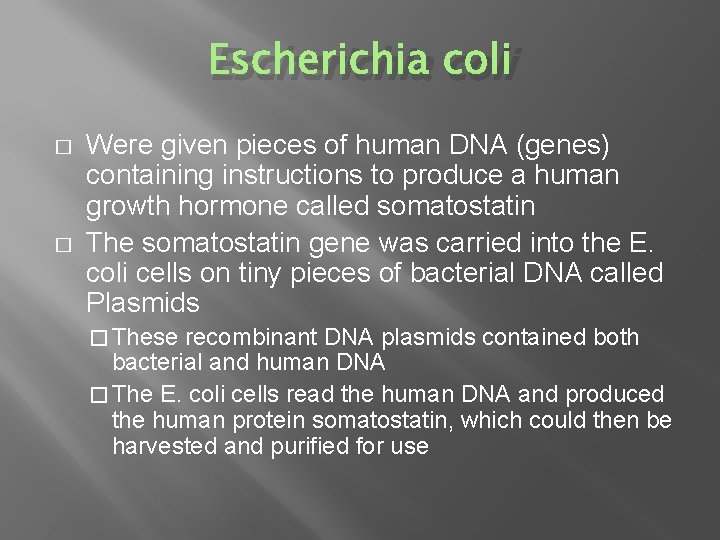 Escherichia coli � � Were given pieces of human DNA (genes) containing instructions to