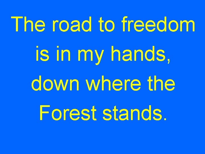 The road to freedom is in my hands, down where the Forest stands. 