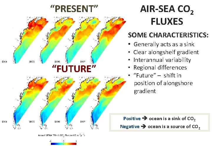 AIR-SEA CO 2 FLUXES “PRESENT” SOME CHARACTERISTICS: • Generally acts as a sink “FUTURE”