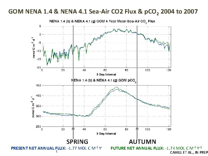 GOM NENA 1. 4 & NENA 4. 1 Sea-Air CO 2 Flux & p.