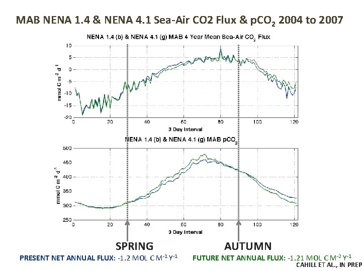 MAB NENA 1. 4 & NENA 4. 1 Sea-Air CO 2 Flux & p.