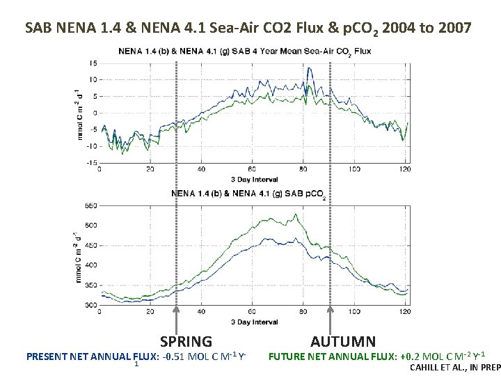 SAB NENA 1. 4 & NENA 4. 1 Sea-Air CO 2 Flux & p.