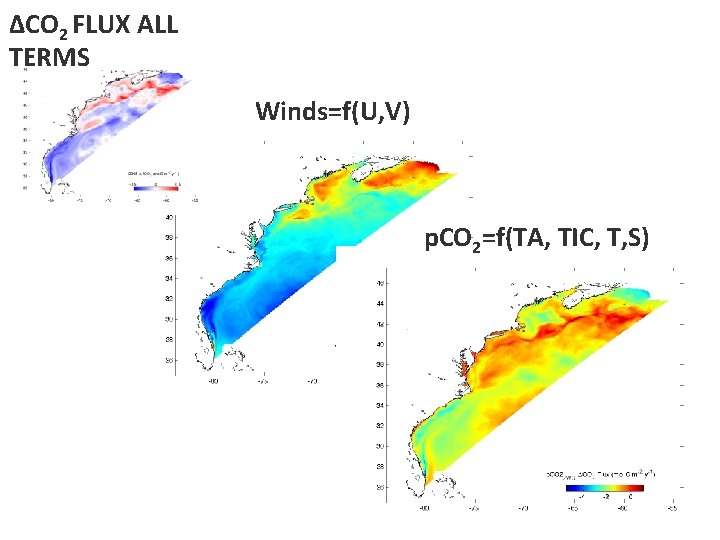 ∆CO 2 FLUX ALL TERMS Winds=f(U, V) p. CO 2=f(TA, TIC, T, S) 