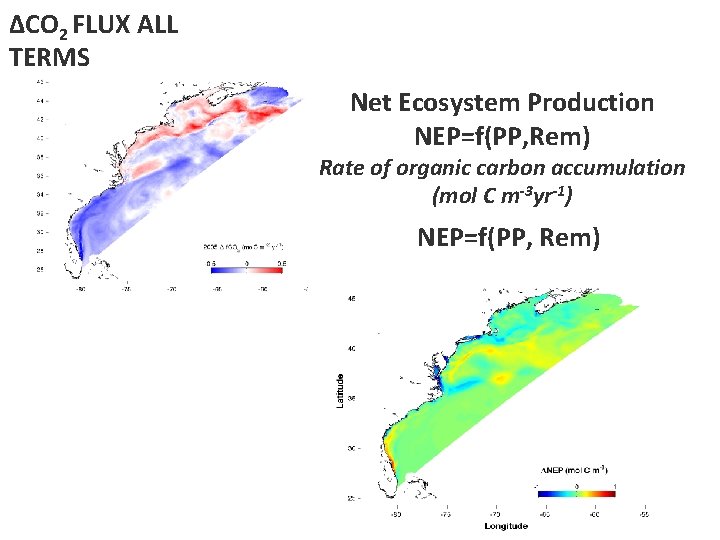 ∆CO 2 FLUX ALL TERMS Net Ecosystem Production NEP=f(PP, Rem) Rate of organic carbon