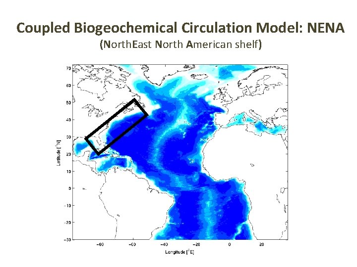Coupled Biogeochemical Circulation Model: NENA (North. East North American shelf) 