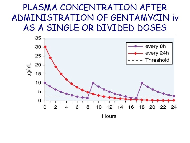 PLASMA CONCENTRATION AFTER ADMINISTRATION OF GENTAMYCIN iv AS A SINGLE OR DIVIDED DOSES 