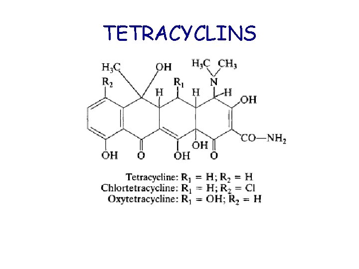 TETRACYCLINS 