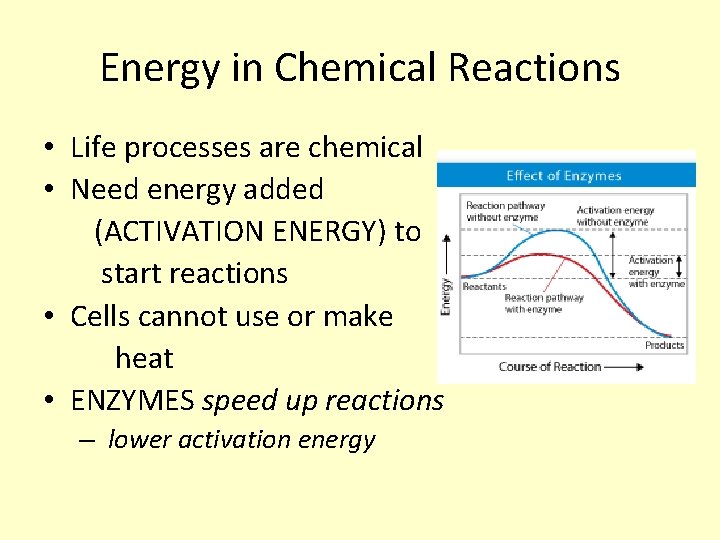 Energy in Chemical Reactions • Life processes are chemical • Need energy added (ACTIVATION