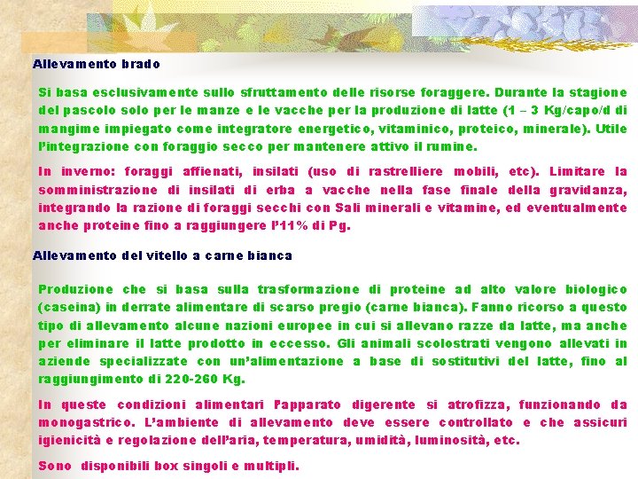 Allevamento brado Si basa esclusivamente sullo sfruttamento delle risorse foraggere. Durante la stagione del