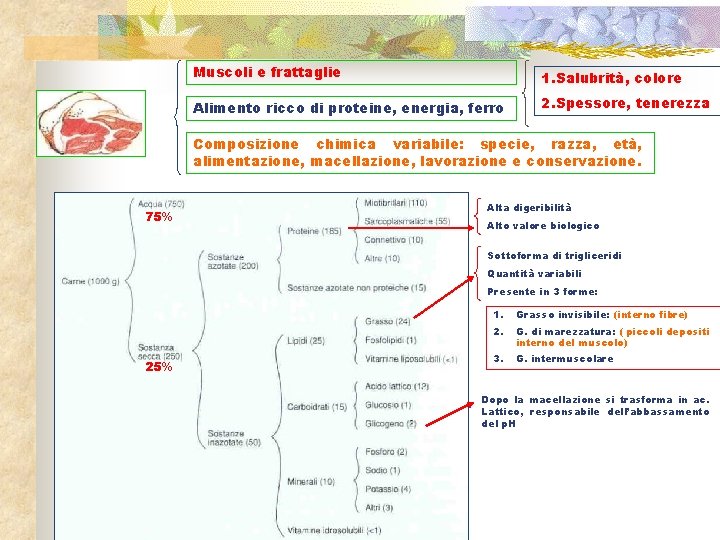 Muscoli e frattaglie 1. Salubrità, colore Alimento ricco di proteine, energia, ferro 2. Spessore,