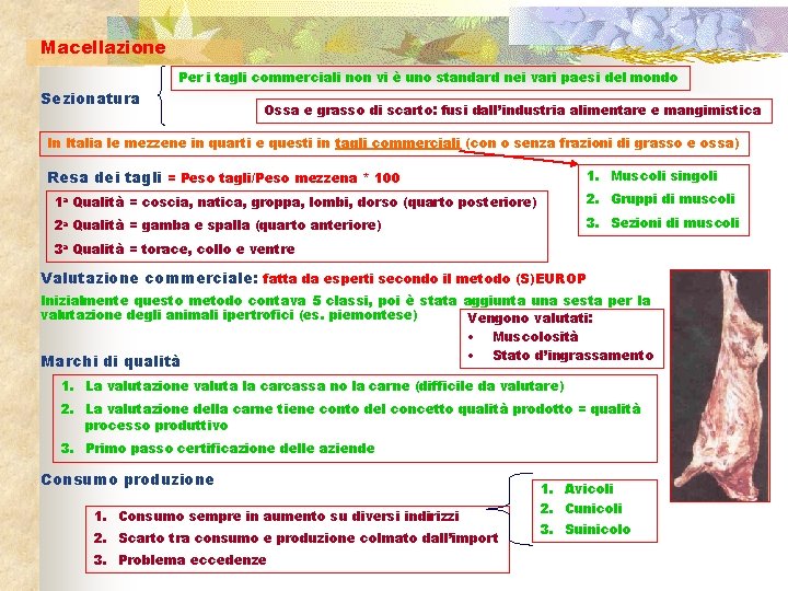 Macellazione Per i tagli commerciali non vi è uno standard nei vari paesi del