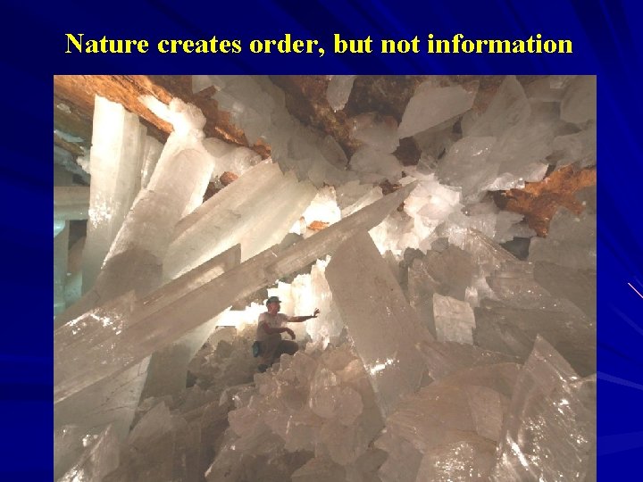 Nature creates order, but not information 