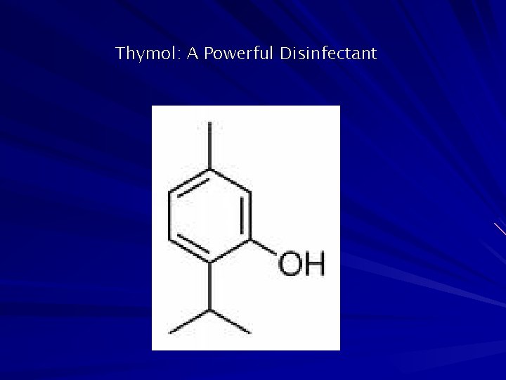 Thymol: A Powerful Disinfectant 