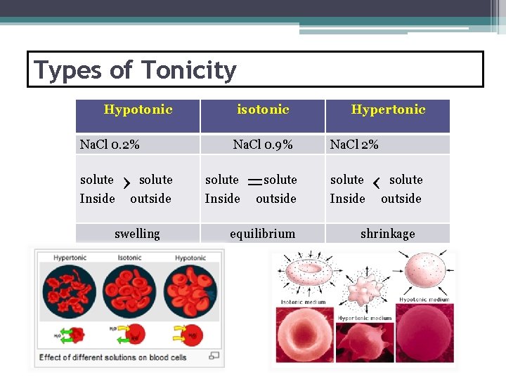 Types of Tonicity Hypotonic Na. Cl 0. 2% solute Inside solute ›outside swelling isotonic