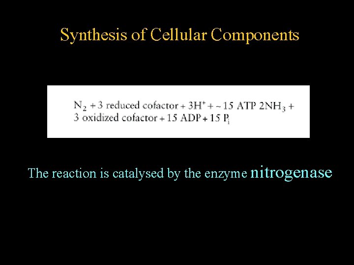 Synthesis of Cellular Components The reaction is catalysed by the enzyme nitrogenase 