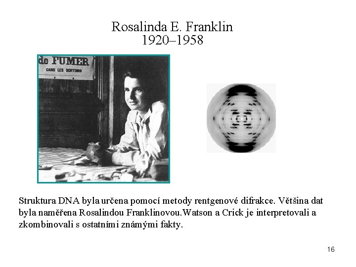 Rosalinda E. Franklin 1920– 1958 Struktura DNA byla určena pomocí metody rentgenové difrakce. Většina