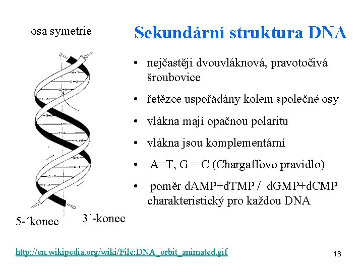 osa symetrie Sekundární struktura DNA • nejčastěji dvouvláknová, pravotočivá šroubovice • řetězce uspořádány kolem