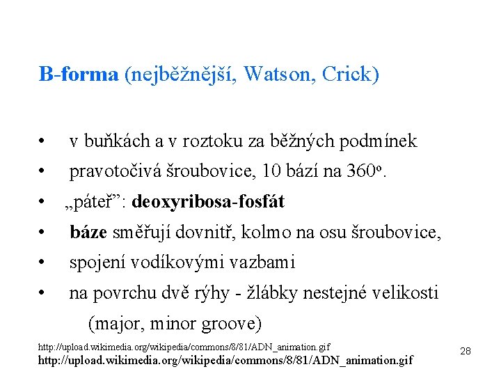 B-forma (nejběžnější, Watson, Crick) • v buňkách a v roztoku za běžných podmínek •