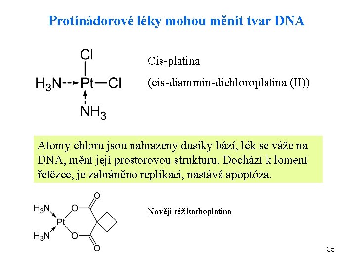 Protinádorové léky mohou měnit tvar DNA Cis-platina (cis-diammin-dichloroplatina (II)) Atomy chloru jsou nahrazeny dusíky