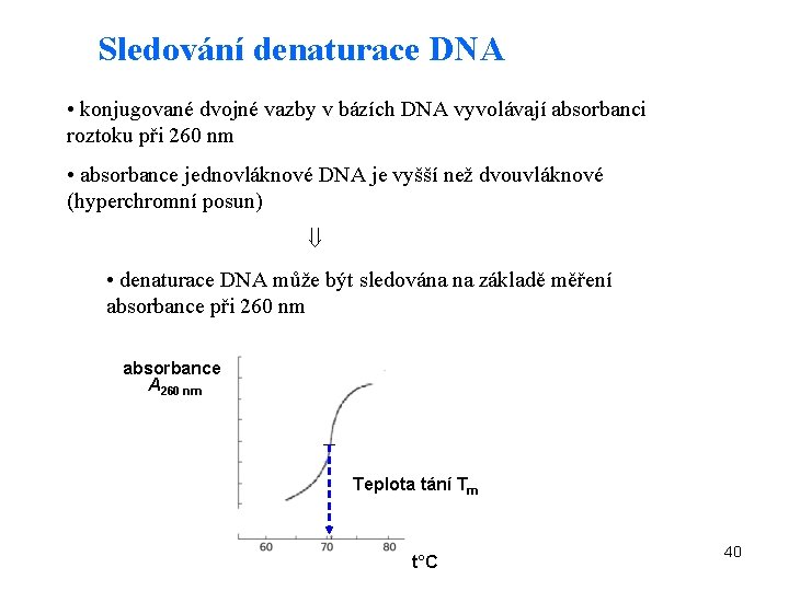 Sledování denaturace DNA • konjugované dvojné vazby v bázích DNA vyvolávají absorbanci roztoku při