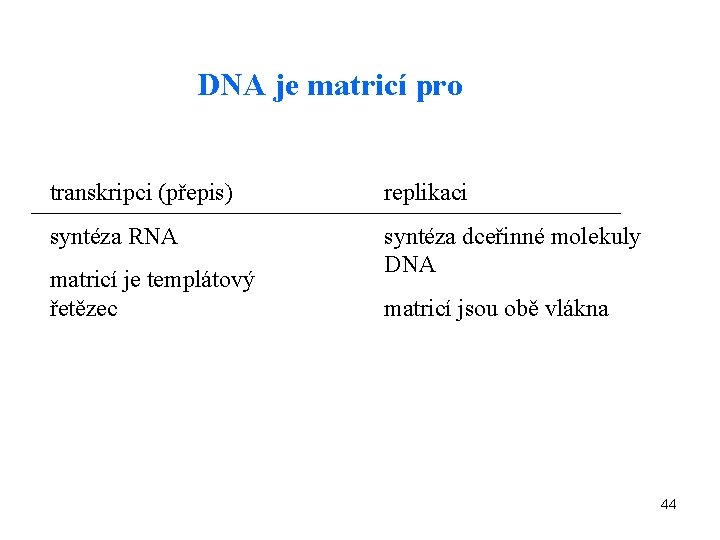 DNA je matricí pro transkripci (přepis) replikaci syntéza RNA syntéza dceřinné molekuly DNA matricí