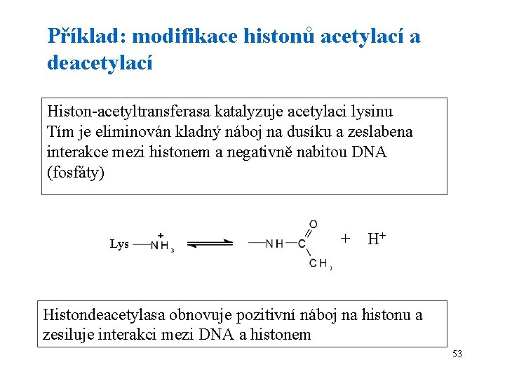 Příklad: modifikace histonů acetylací a deacetylací Histon-acetyltransferasa katalyzuje acetylaci lysinu Tím je eliminován kladný