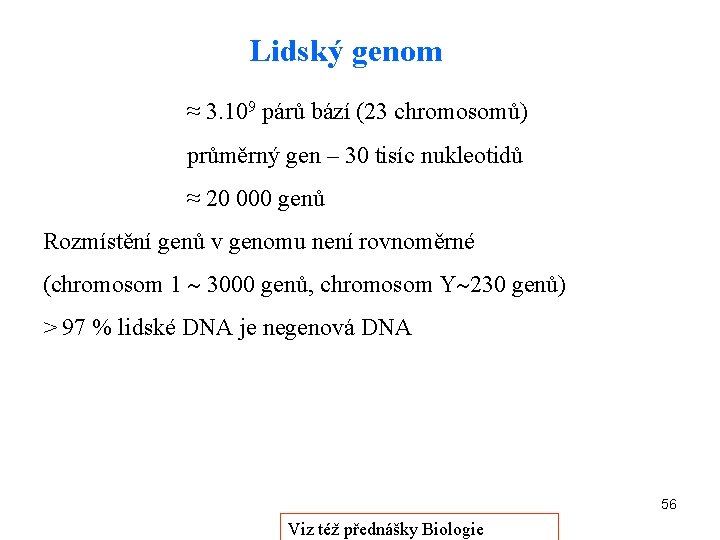 Lidský genom ≈ 3. 109 párů bází (23 chromosomů) průměrný gen – 30 tisíc