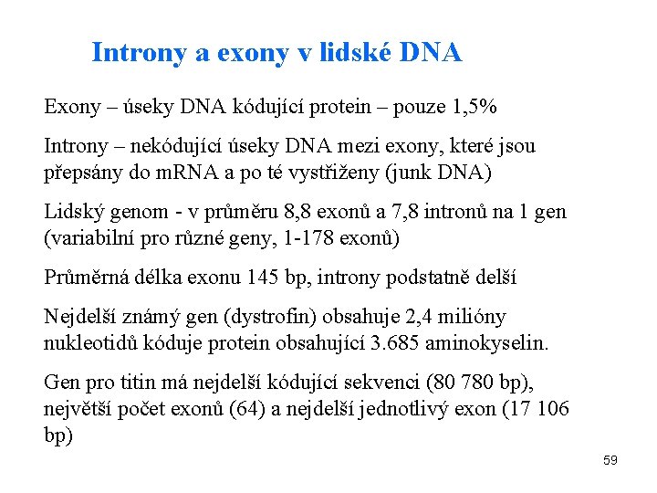 Introny a exony v lidské DNA Exony – úseky DNA kódující protein – pouze