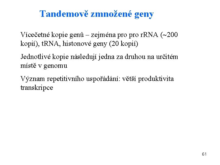 Tandemově zmnožené geny Vícečetné kopie genů – zejména pro r. RNA ( 200 kopií),