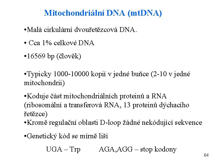 Mitochondriální DNA (mt. DNA) • Malá cirkulární dvouřetězcová DNA. • Cca 1% celkové DNA