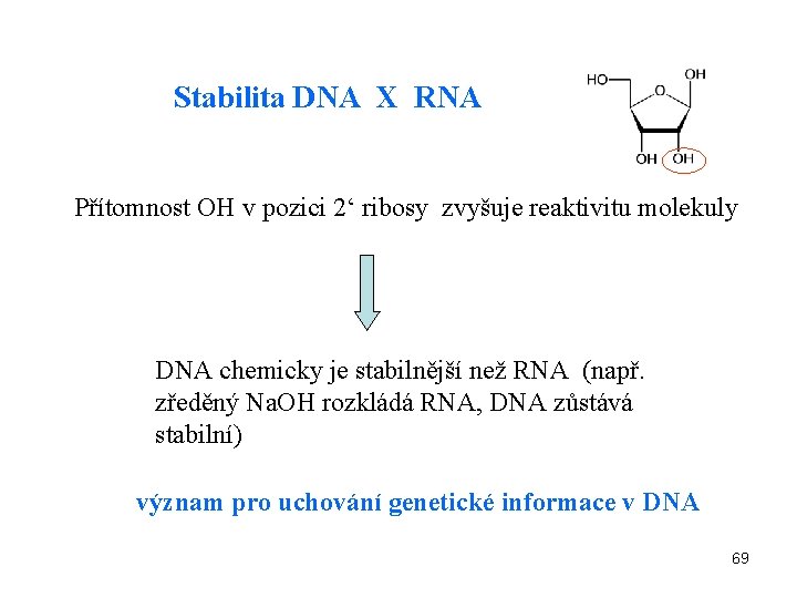 Stabilita DNA X RNA Přítomnost OH v pozici 2‘ ribosy zvyšuje reaktivitu molekuly DNA