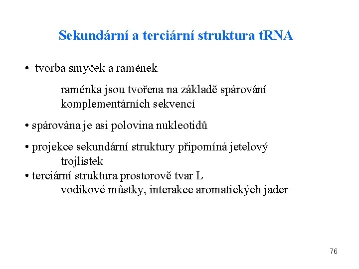 Sekundární a terciární struktura t. RNA • tvorba smyček a ramének raménka jsou tvořena