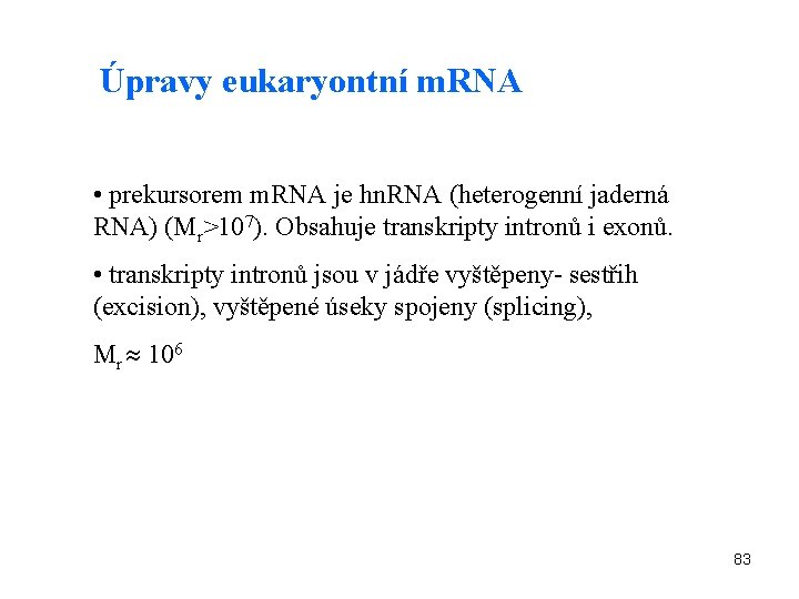 Úpravy eukaryontní m. RNA • prekursorem m. RNA je hn. RNA (heterogenní jaderná RNA)