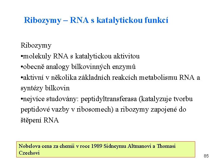 Ribozymy – RNA s katalytickou funkcí Ribozymy • molekuly RNA s katalytickou aktivitou •