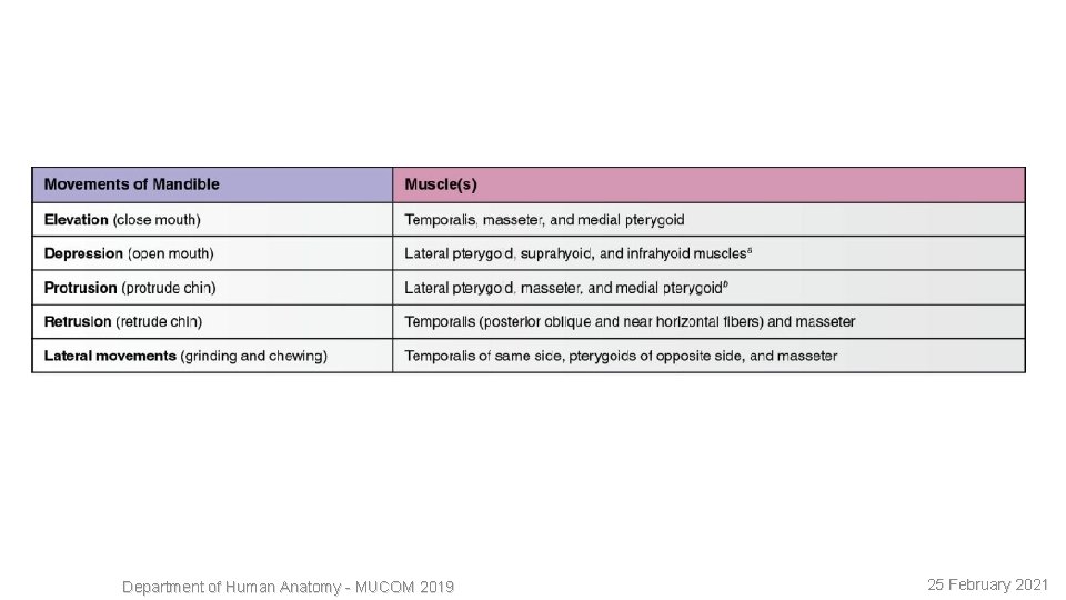 11 Department of Human Anatomy - MUCOM 2019 25 February 2021 