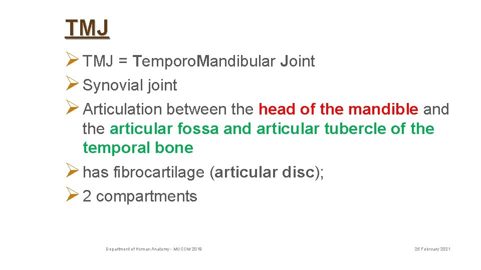 TMJ Ø TMJ = Temporo. Mandibular Joint Ø Synovial joint Ø Articulation between the