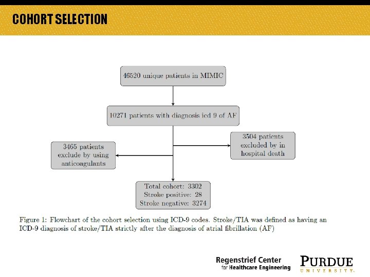COHORT SELECTION COHORT SELECTION
