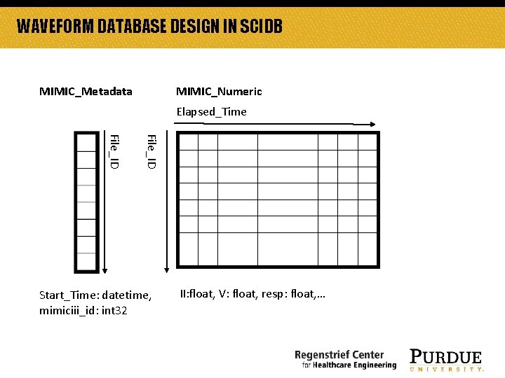 WAVEFORM DATABASE DESIGN IN SCIDB MIMIC_Metadata MIMIC_Numeric Elapsed_Time File_ID Start_Time: datetime, mimiciii_id: int 32 WAVEFORM DATABASE DESIGN IN SCIDB MIMIC_Metadata MIMIC_Numeric Elapsed_Time File_ID Start_Time: datetime, mimiciii_id: int 32