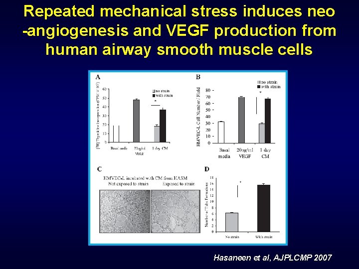 Repeated mechanical stress induces neo -angiogenesis and VEGF production from human airway smooth muscle