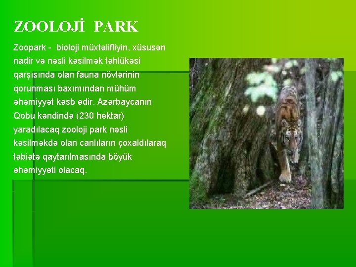 ZOOLOJİ PARK Zoopark - bioloji müxtəlifliyin, xüsusən nadir və nəsli kəsilmək təhlükəsi qarşısında olan