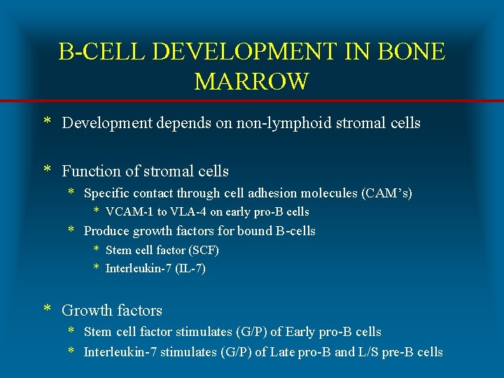 B-CELL DEVELOPMENT IN BONE MARROW * Development depends on non-lymphoid stromal cells * Function