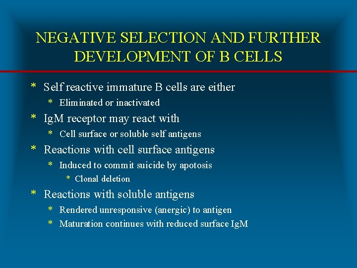 NEGATIVE SELECTION AND FURTHER DEVELOPMENT OF B CELLS * Self reactive immature B cells