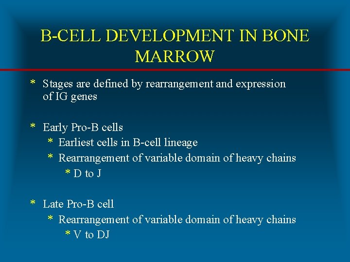 B-CELL DEVELOPMENT IN BONE MARROW * Stages are defined by rearrangement and expression of