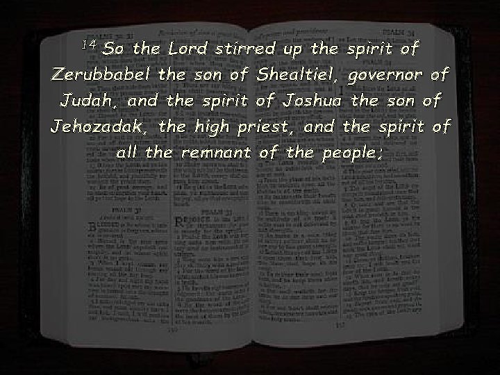 14 So the Lord stirred up the spirit of Zerubbabel the son of Shealtiel,