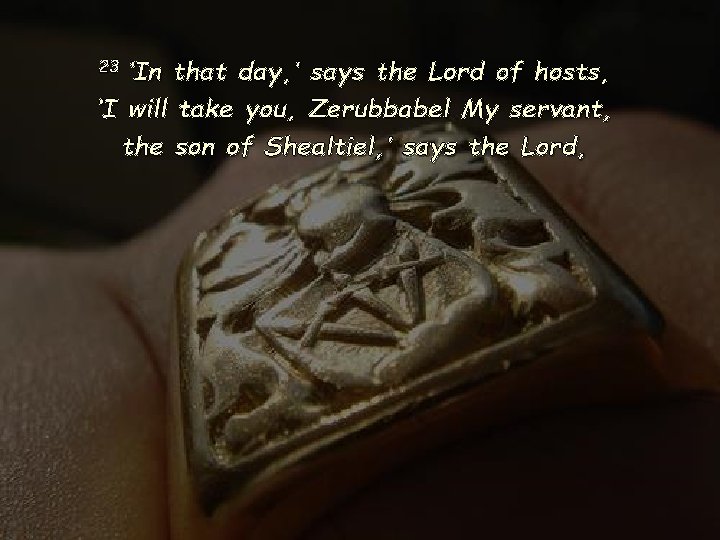 23 ‘In that day, ’ says the Lord of hosts, ‘I will take you,