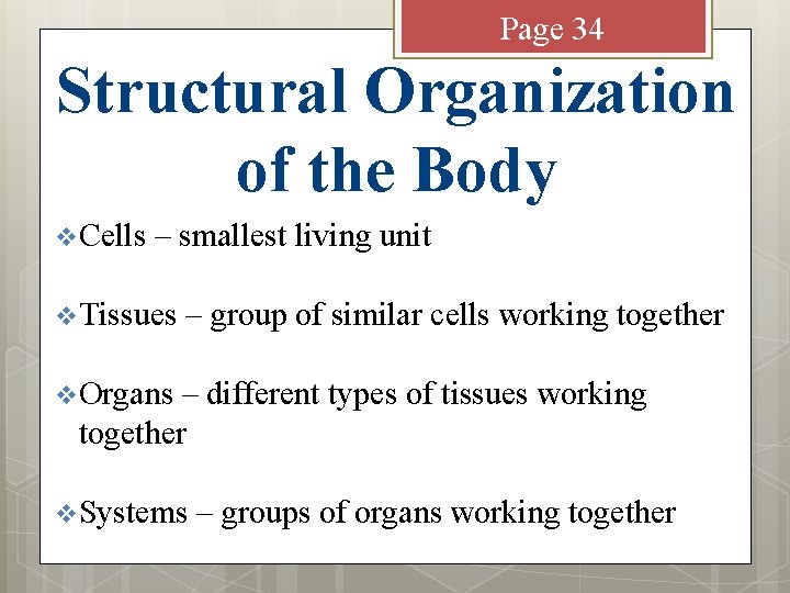 Page 34 Structural Organization of the Body v Cells – smallest living unit v