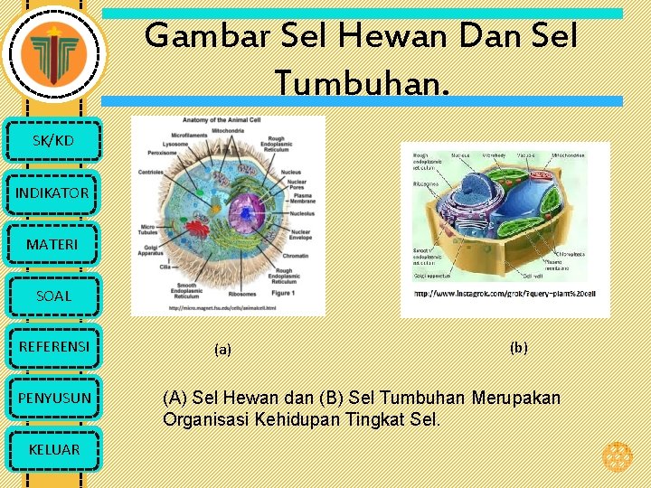 Gambar Sel Hewan Dan Sel Tumbuhan. SK/KD INDIKATOR MATERI SOAL REFERENSI PENYUSUN KELUAR (a)