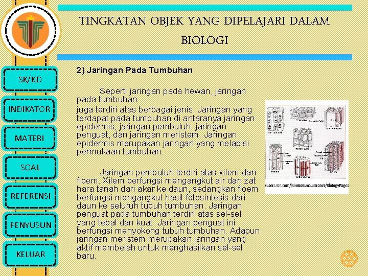 TINGKATAN OBJEK YANG DIPELAJARI DALAM BIOLOGI SK/KD INDIKATOR MATERI SOAL REFERENSI PENYUSUN KELUAR 2)